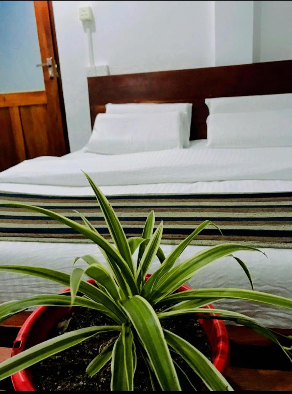 Minthu Homestay 엘라 외부 사진